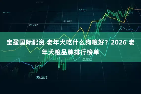 宝盈国际配资 老年犬吃什么狗粮好？2026 老年犬粮品牌排行榜单
